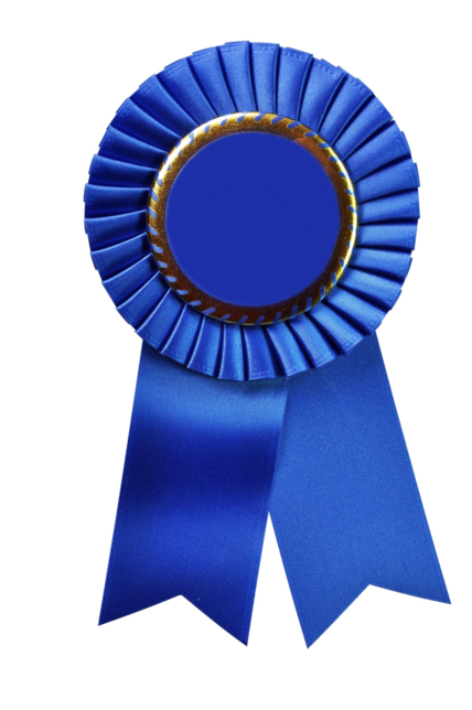 Honorable Mention